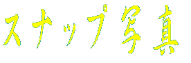 ス ナ ッ プ 写 真  