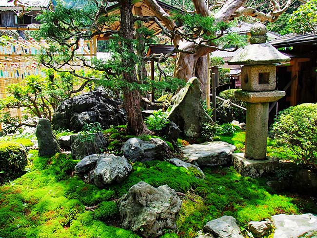 　このような庭は、本堂内の中庭に造られているのが多いですが、ここは本堂前に造られています。　