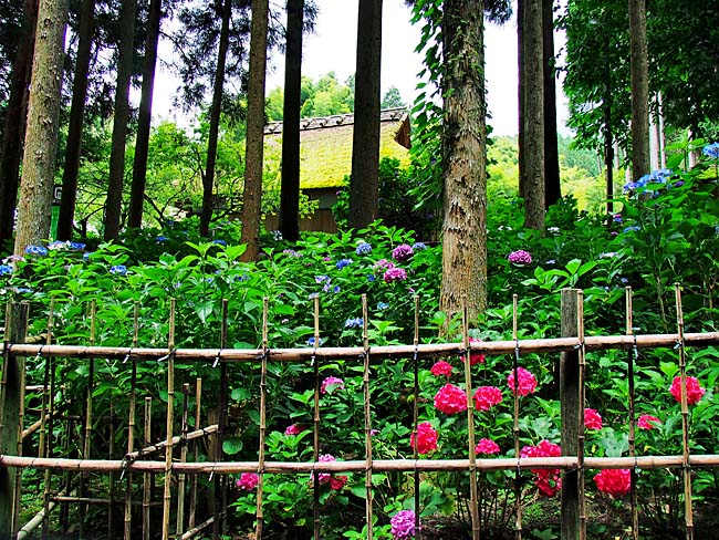 　永谷といえば、お茶漬け海苔の永谷園を思い出しませんか。永谷園の起源は永谷宗円なのです。　