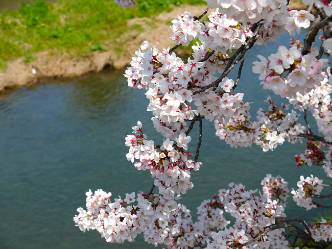 �@���̂悤�ɍ��̉���삪�����ʐ^���B�邱�Ƃ��o���܂��B�@