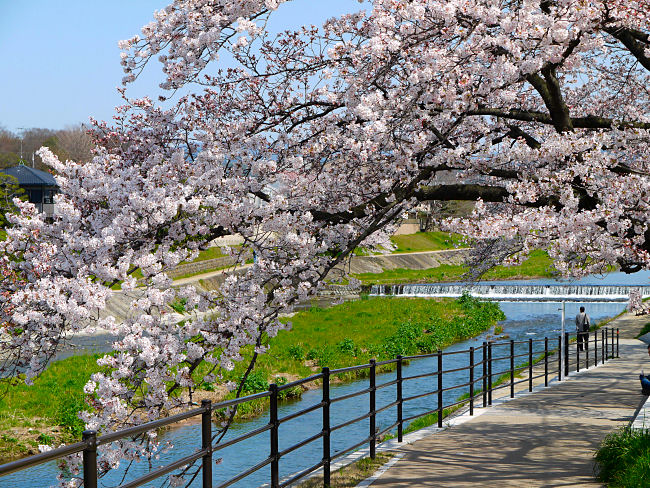 �@�����̗V��������̒��߂ł��B�@