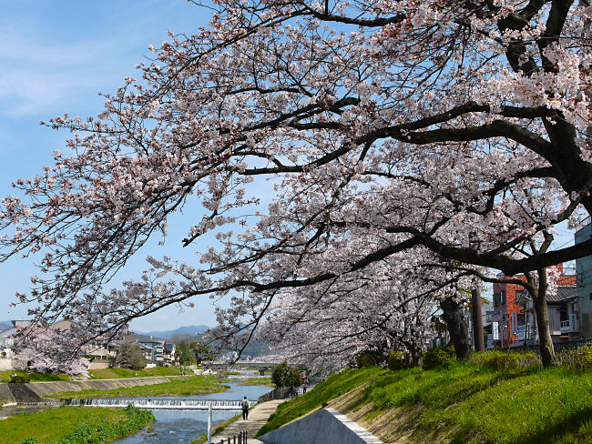 �@�����@�V��������̒��߂ł��B�@