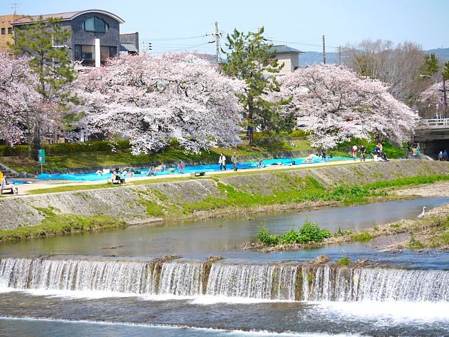 �@��ΐ�@���̐�ō����ƍ�������Ɓu����v�Ɠǂ݂͓����ł������O���ς��܂��B����̏ꏊ���ɃV�[�g���~����Ă��܂��B�@