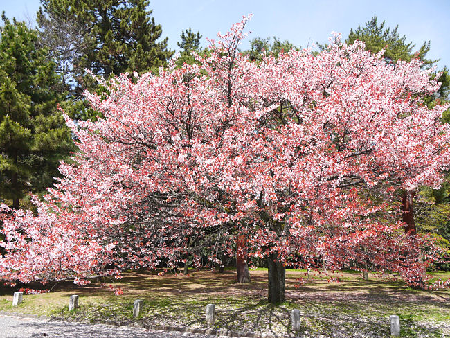 �@���@�s�@��@���@