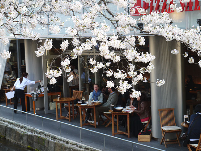 �@������@�������Ȃ���R�[�q�[�����ށA���s�炵���J�t�F�ł��B����������b���e�ނ��Ƃł��傤�B�@�@