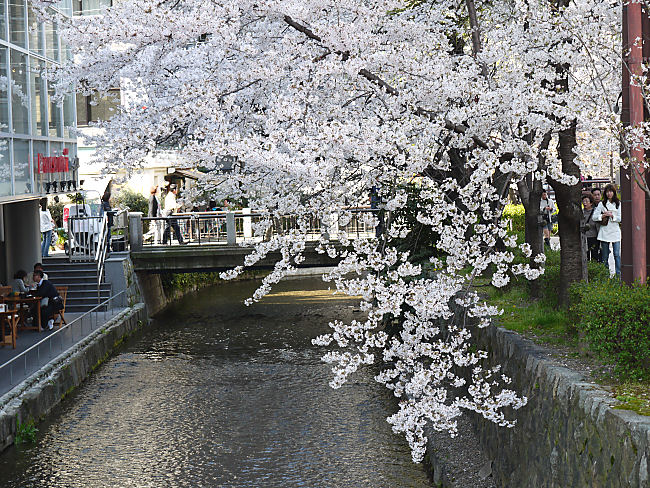 �@������̉E���͖؉����Ƃ����o�[�E�X�i�b�N�������Ԉ��݉��X�ɂȂ��Ă��܂��B�@