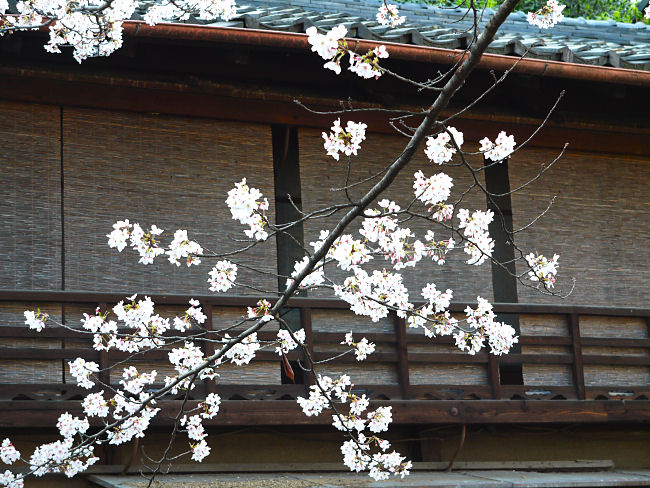 �@������@���Ɨ����s�炵�����i�ł��B�@