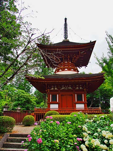 　多宝塔とアジサイです。　