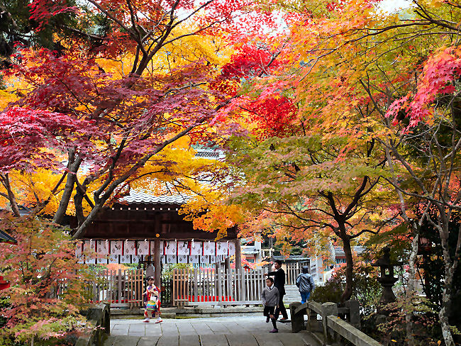 　最後までご覧頂きありがとうございました。　