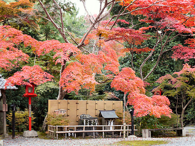 　このモミジに囲まれた岩は、「安産石」と名札に書かれてありました。その経緯は、何も書かれていないので、これ以上のことはわかりません。　