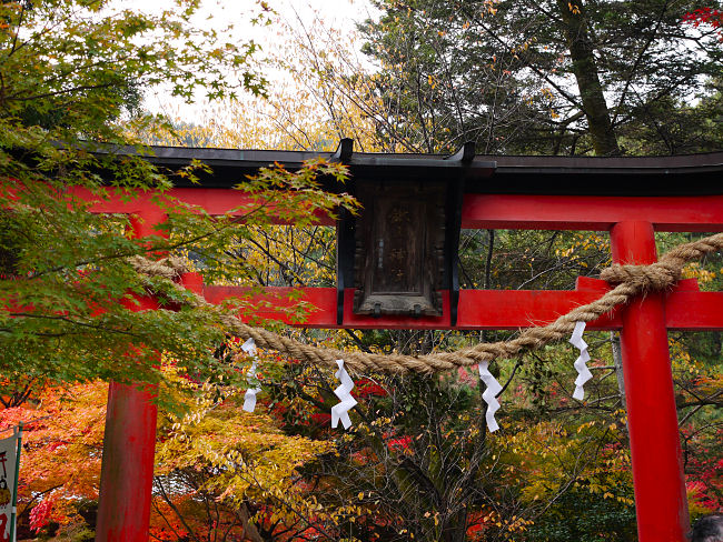 　鍬山神社は、紅葉の名所で神社全体が、色とりどりの錦に染まっていました。　