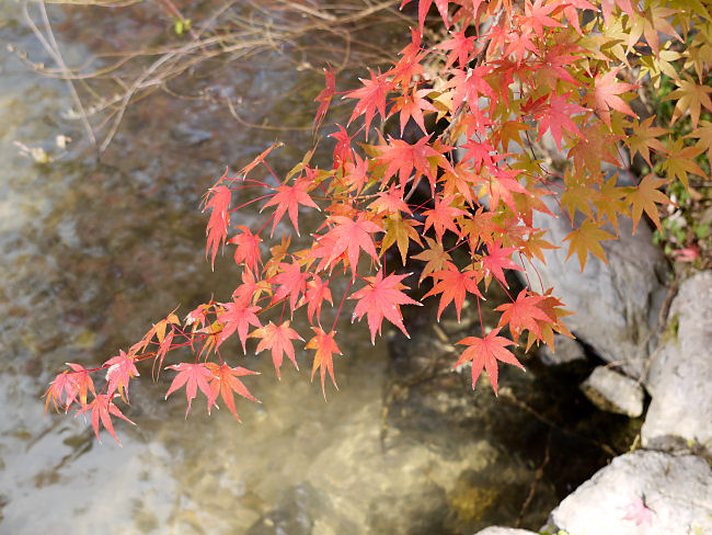 　巨石の傍に、このような小川が流れています。　