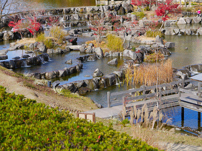 　園芸ゾーンの水景棚です。　