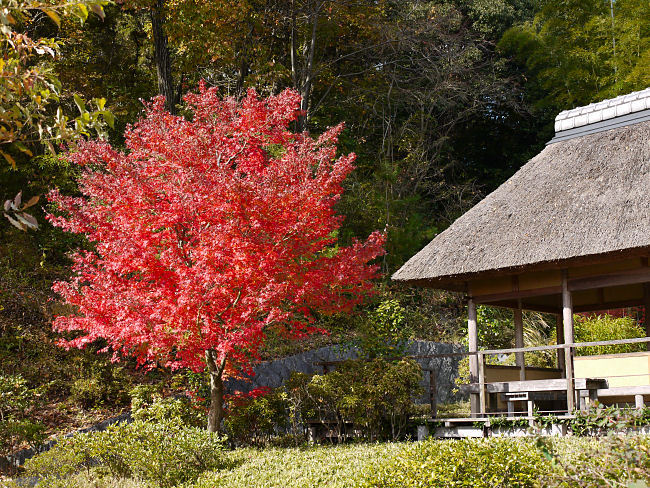 　永谷池の「あずまや」です。　