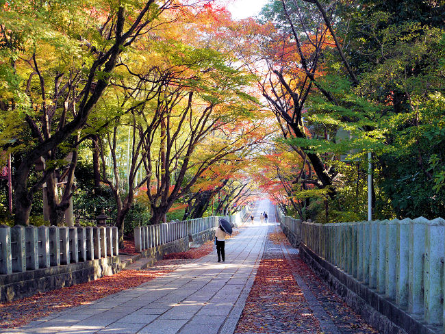 �@�Q���̗�������}��L�΂��čg�t�̃g���l���ɂȂ��Ă��܂����B�@