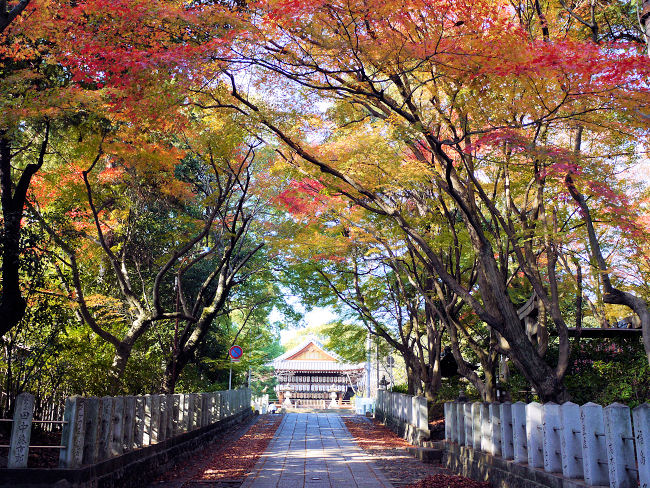 �@�Q������{�a��]�݂܂��B�@